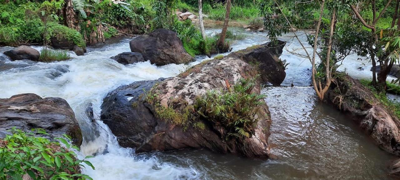 Linn View Home Stay Munnar Oda fotoğraf