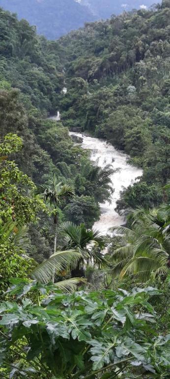 Linn View Home Stay Munnar Dış mekan fotoğraf